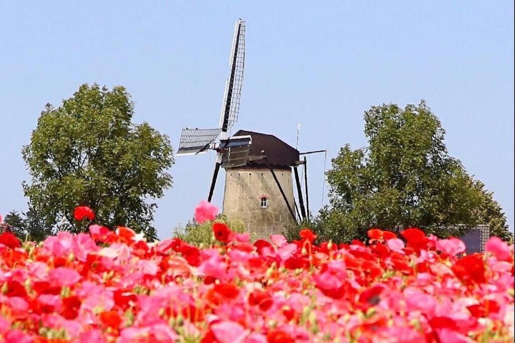 -Nieuw- Luxe & Sfeervol Vakantiehuis Tholen Exterior foto